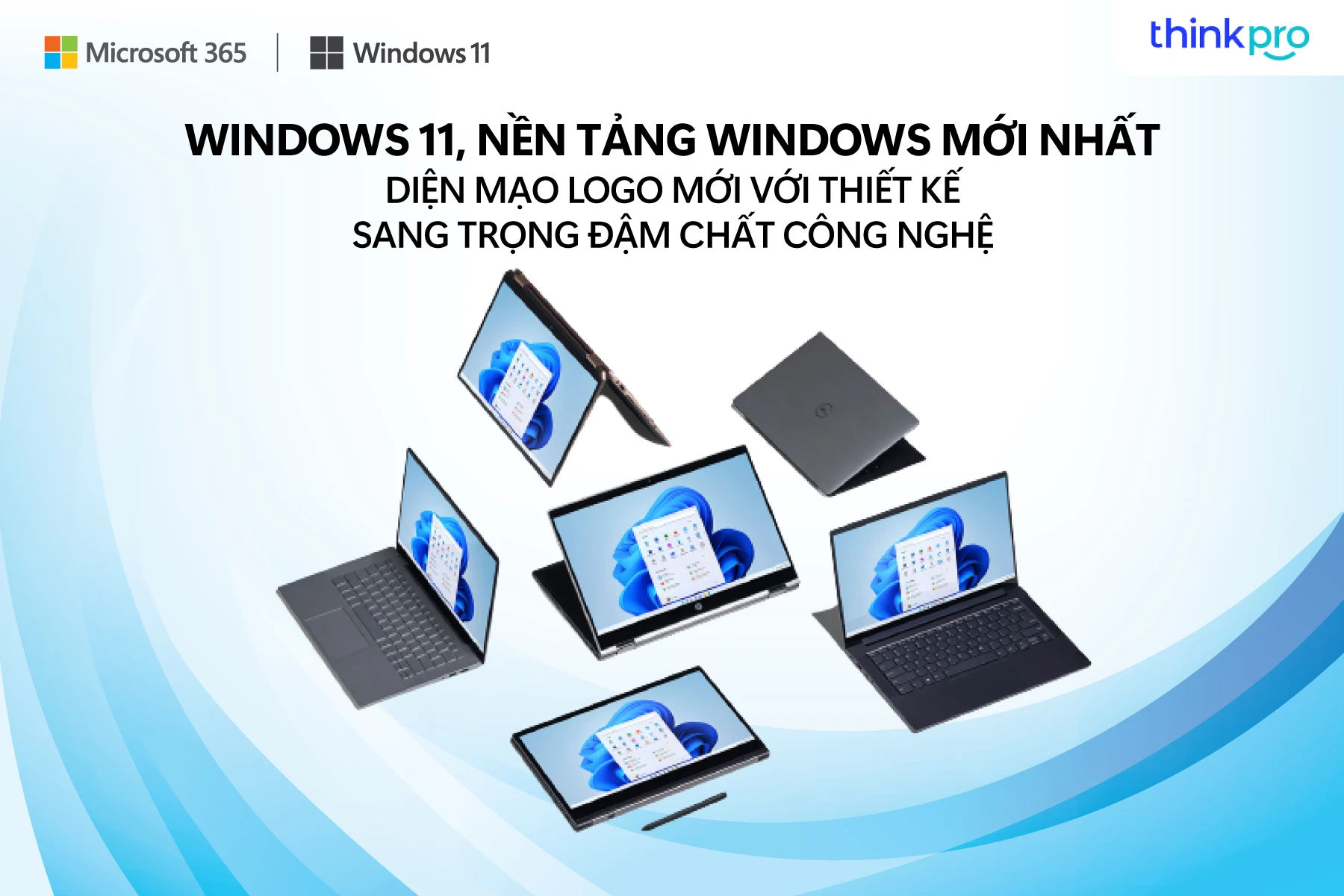 Windows 11