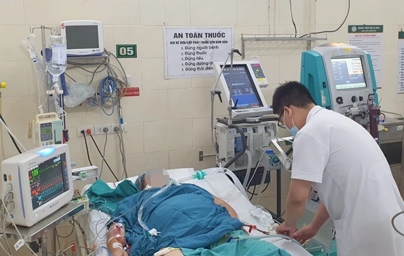 Dengue fever is lurking