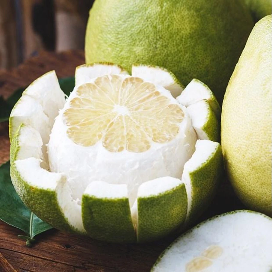 A type of shell is considered to be ‘` `elegant medicine '' in Eastern medicine, can prevent cancer, cough and rejuvenate skin