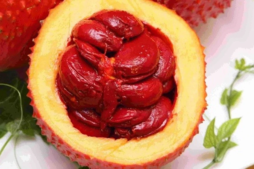 The plants grow more in Vietnam, the fruit is called "fruit from heaven": turns out to be a valuable medicine