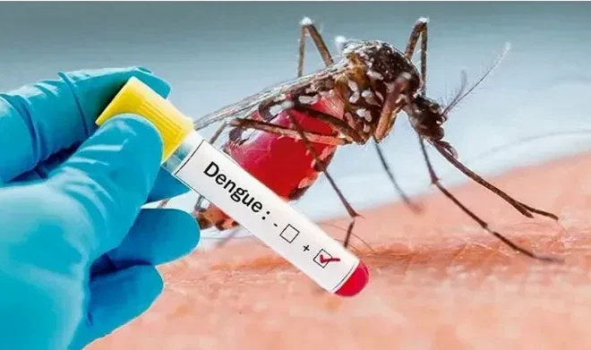 Ho Chi Minh City recorded more than 12,000 dengue fever