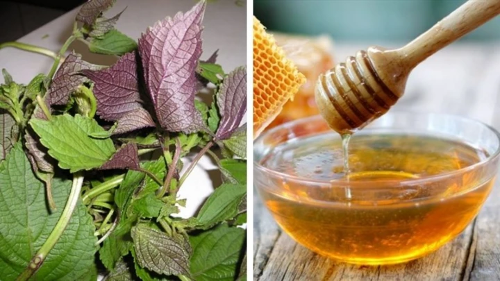 How to whiten the skin from perilla leaves