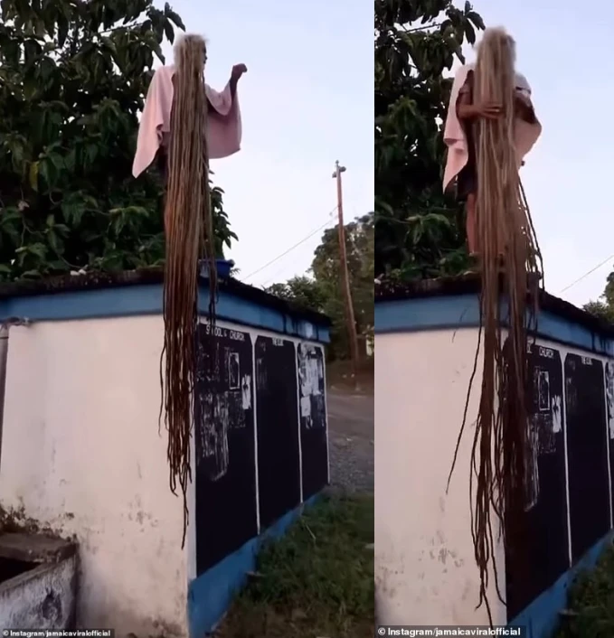 The 40 -year -old man who did not cut his hair, climbed up his roof to show off his "work" that made tens of thousands of people stunned