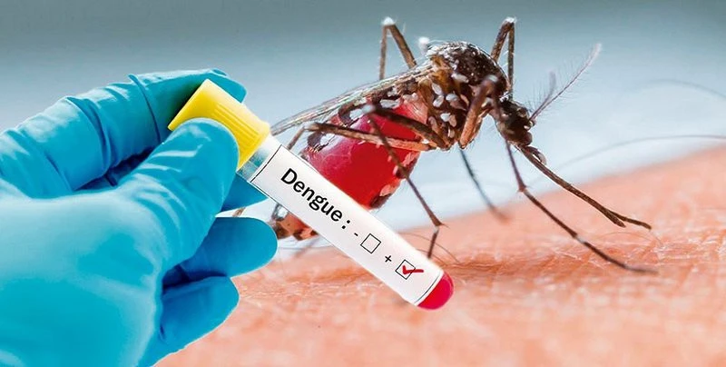 The need to do to prevent dengue when thousands of outbreaks outbreaks in the South, there are 6 deaths in the country