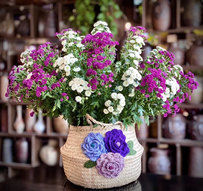 Mother "tips" the flowers displayed extremely durable in the hot weather, combined with this way of plugging the living room more brightly