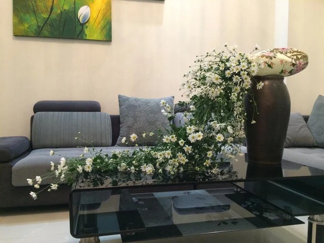 Beauty home to welcome Hanoi winter with beautiful, peaceful daisies