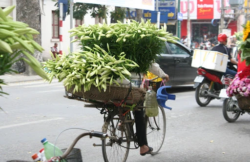 At the beginning of the season, lilies down the street with surprisingly cheap price, an opportunity for women to buy a lot of home to play