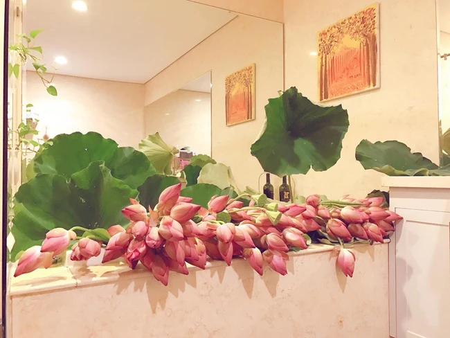 Revealing the secret to plugging in beautiful lotus people, women who love flowers have to nod because they are too right!