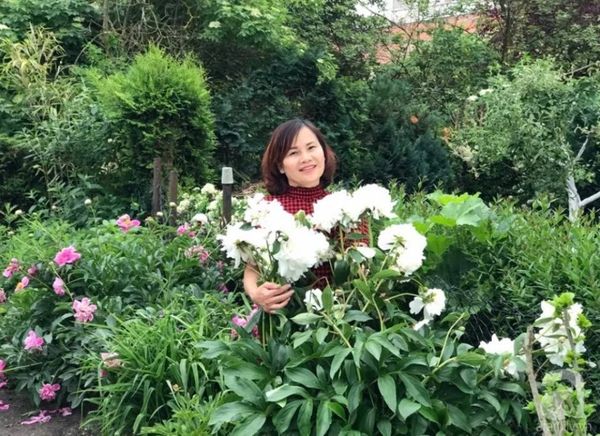 The 1000m² peony garden is as beautiful as a Vietnamese mother's fairy in Germany