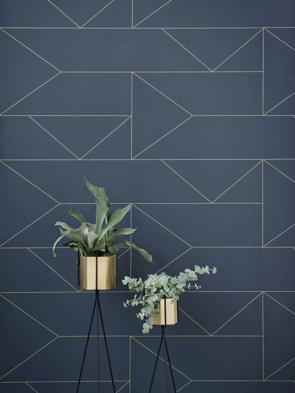 Suggest 6 wallpaper samples to help you "transform" extremely well for living space