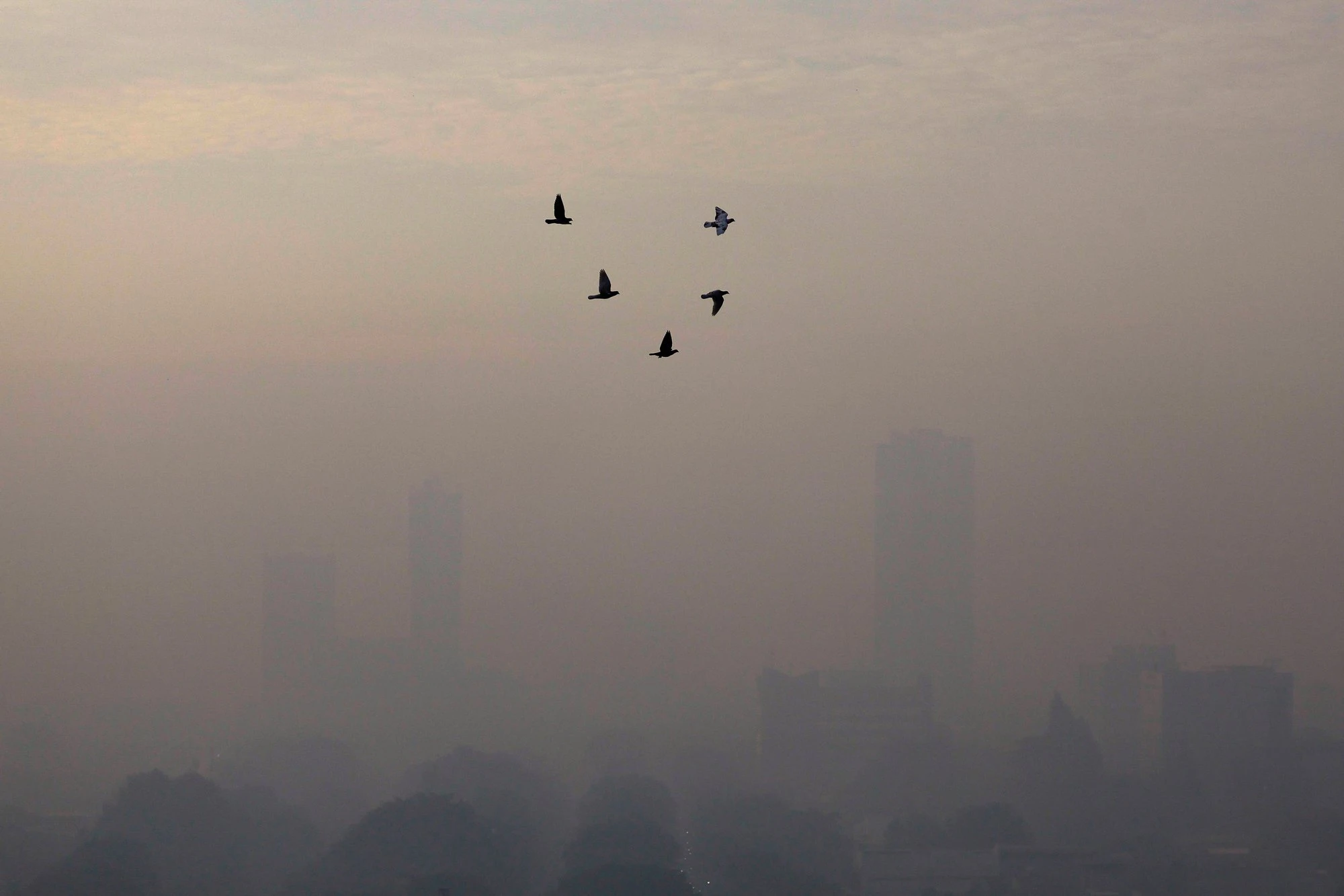 Air pollution shortened the world population life