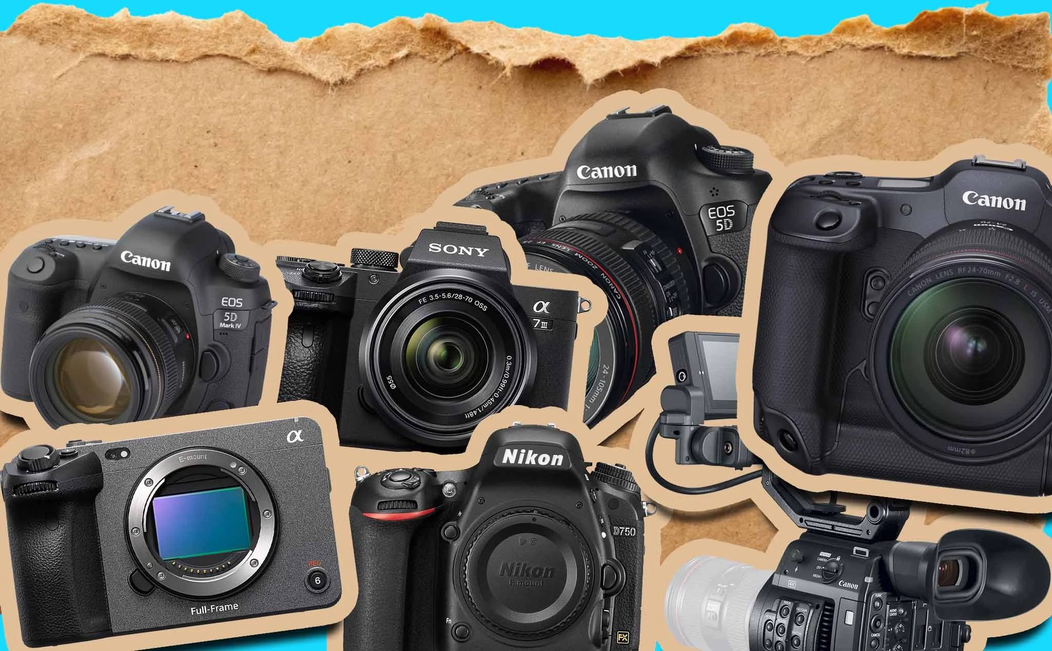 [Infographic] Lensrentals: Đây là 20 chiếc máy ảnh được thuê nhiều nhất trong suốt 19 năm qua