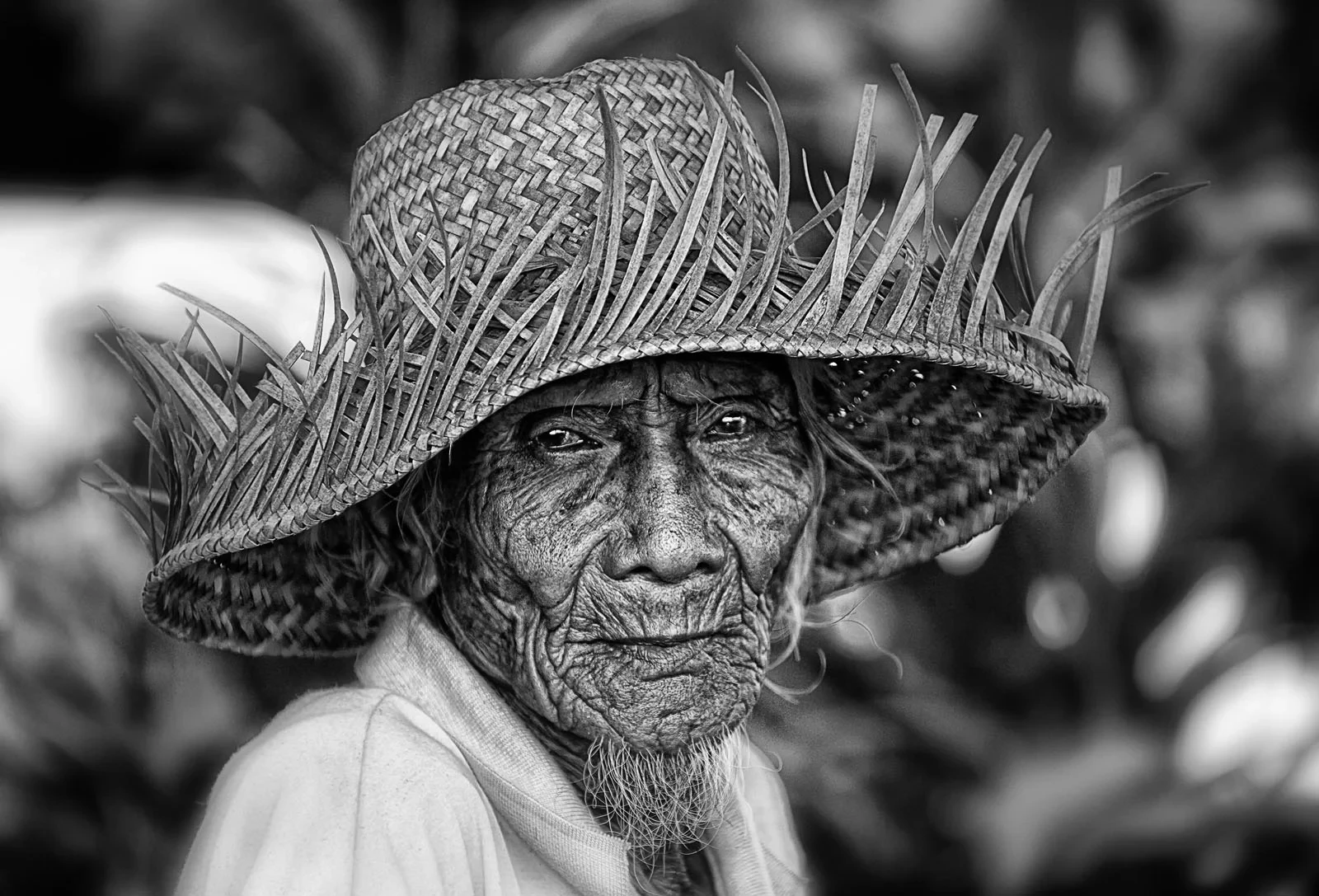 Tạo hình bằng AI xưa rồi, giờ có cuộc thi để người chụp ảnh rồi AI làm giám khảo!