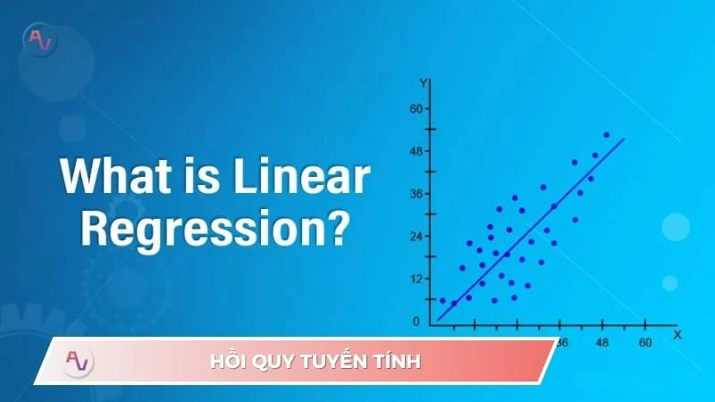 Hồi quy tuyến tính: Vì sao là nền móng quan trọng trong AI và phân tích dữ liệu?