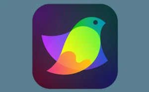 Amadine – Phần mềm đồ họa Vector tương tự Illustrator 2025