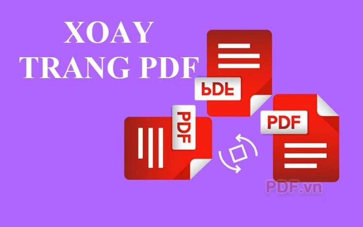 Cách xoay trang PDF đơn giản, nhanh chóng