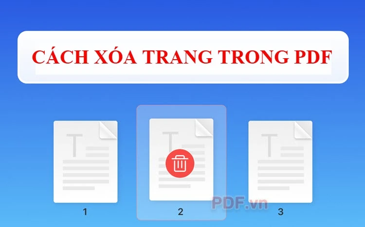 Cách xóa trang trong PDF cực đơn giản & nhanh chóng