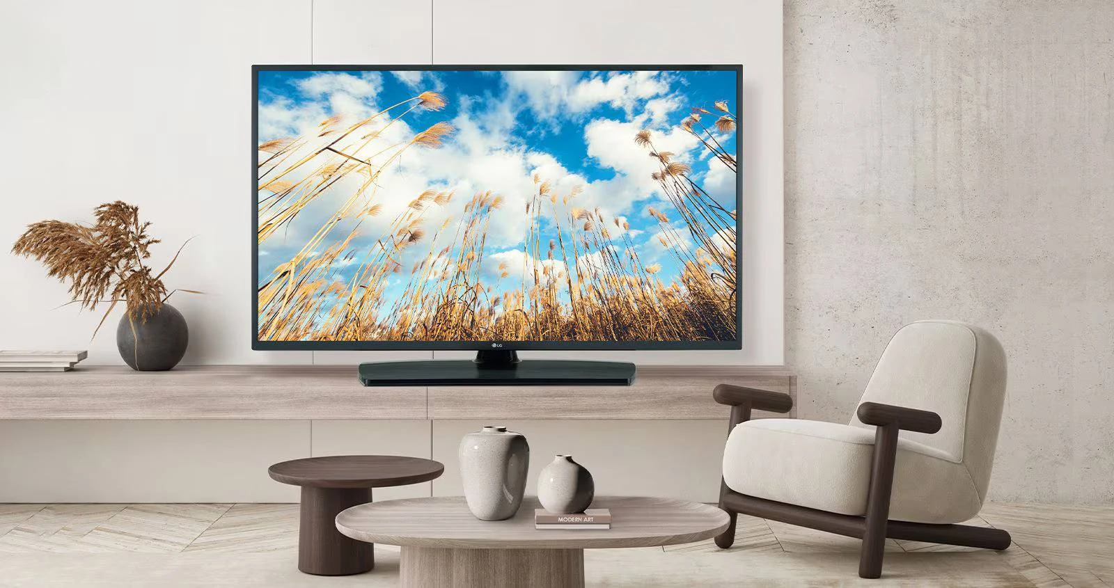 Smart TV LG - 4K UHD 75inch - TV Chuyên cho khách sạn - 75UM767H0SH