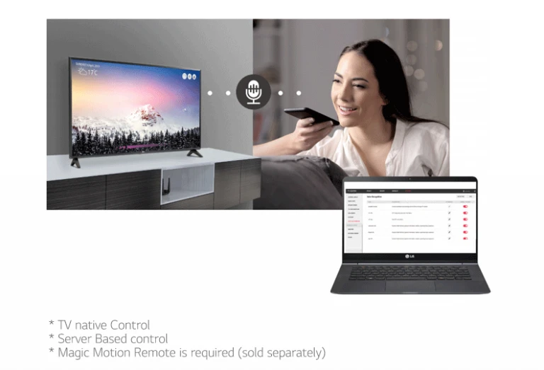 TV khách sạn LG 32 inch - 32LT660HBTB