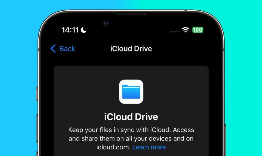 iCloud Drive