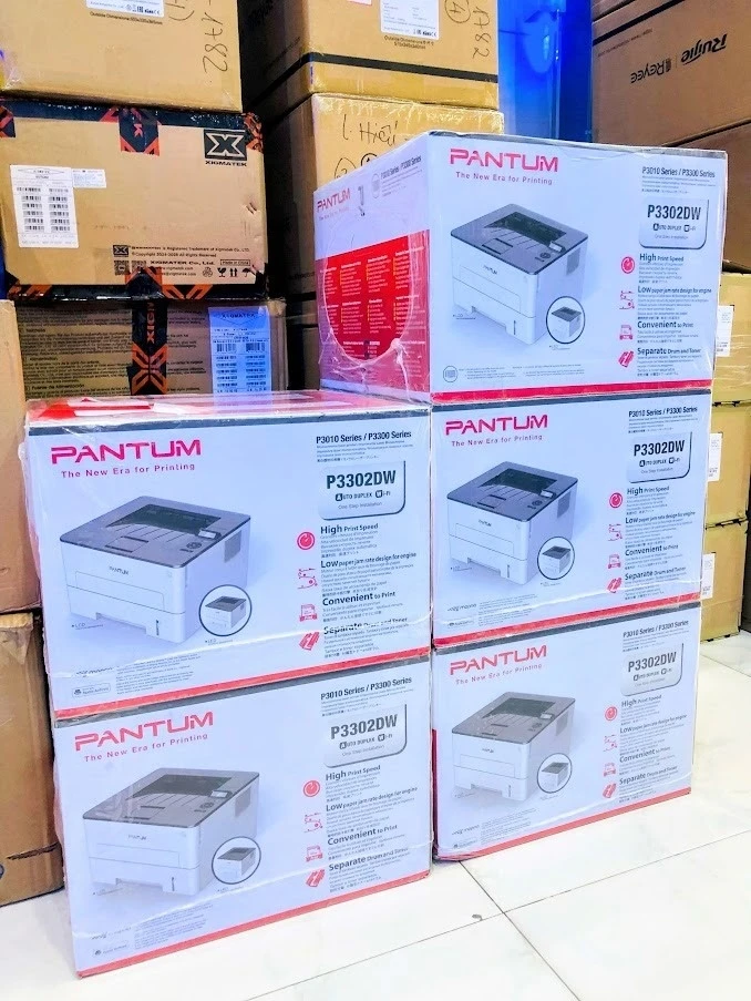 Máy in Laser đen trắng Pantum P3302DW